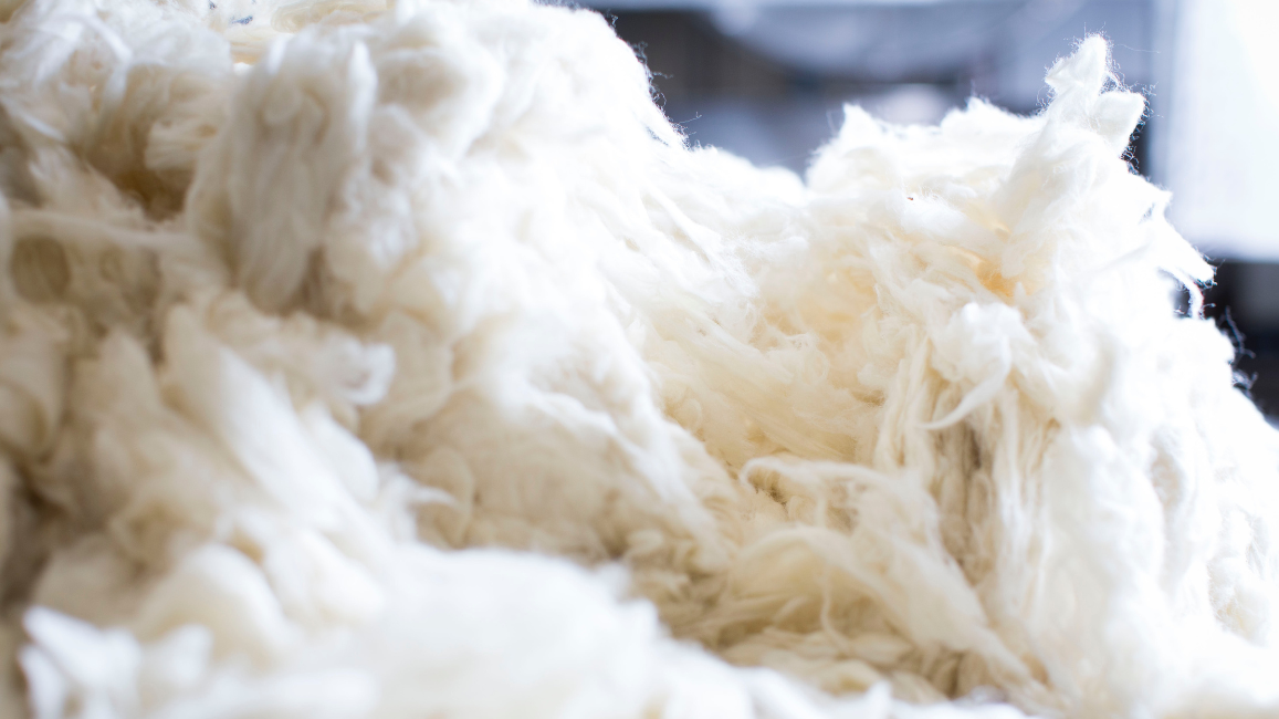 Is Cashmere Really Worth The Cost?