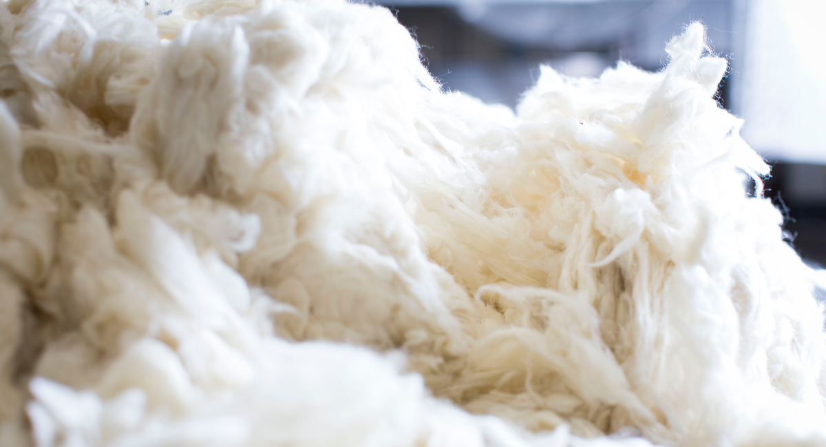 Is Cashmere Really Worth The Cost?