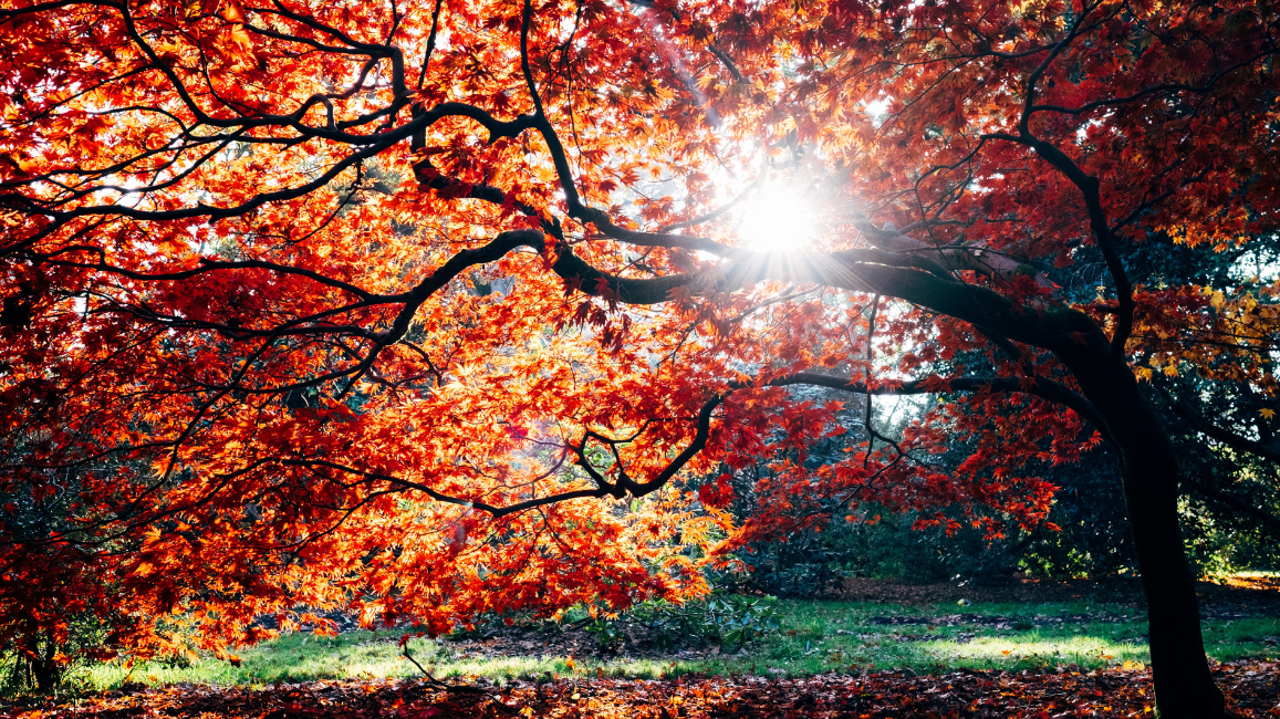 The Top 6 Places For Fall Foliage In New England