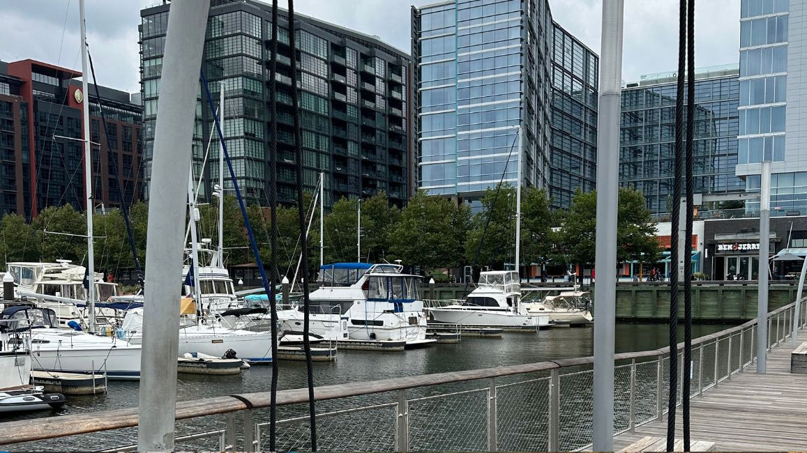 Dream Destinations: The Dreamsoft Travel Scarf goes to the Wharf, DC