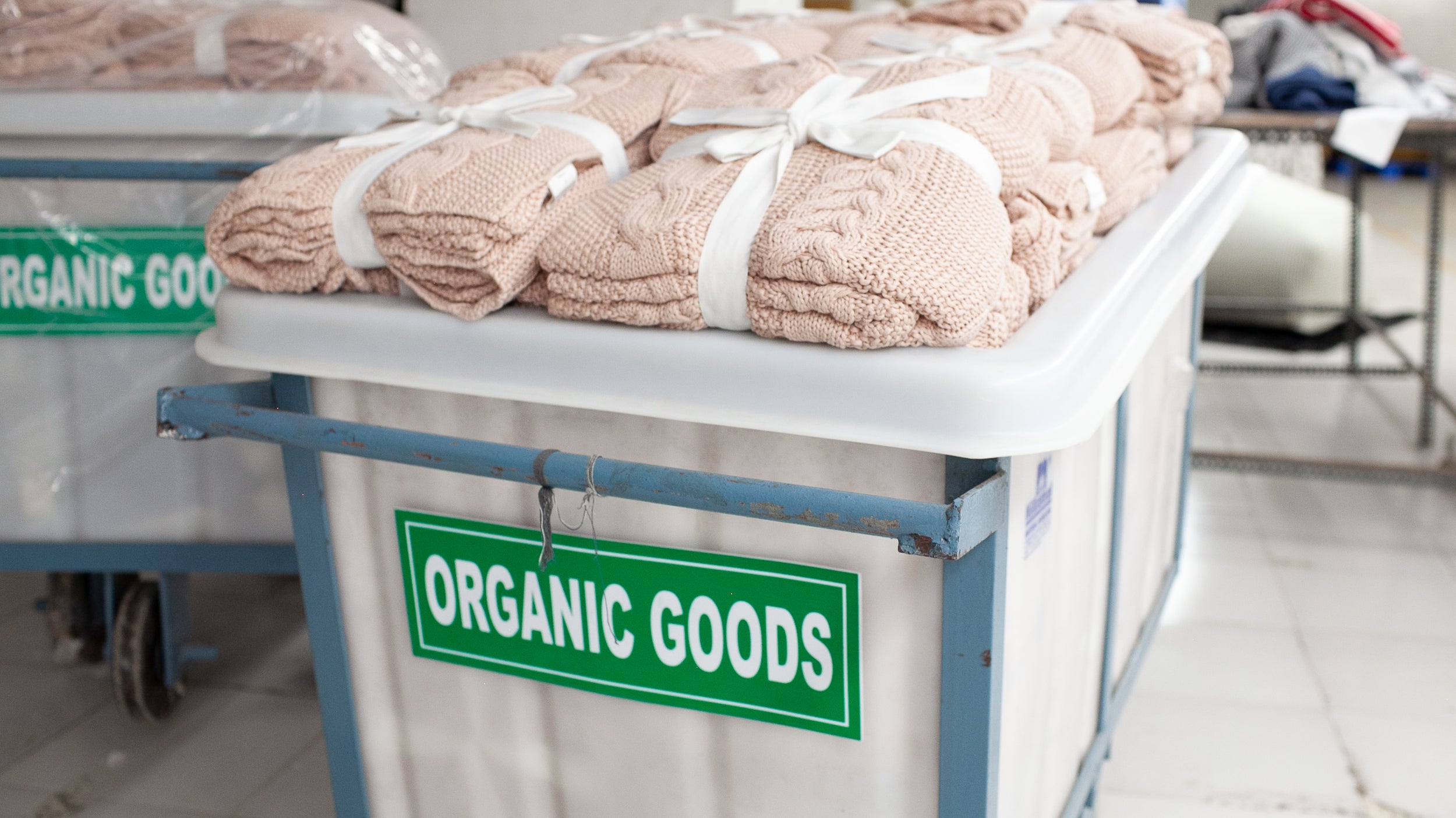 Bamboo vs Organic Cotton: Which is More Environmentally Friendly?