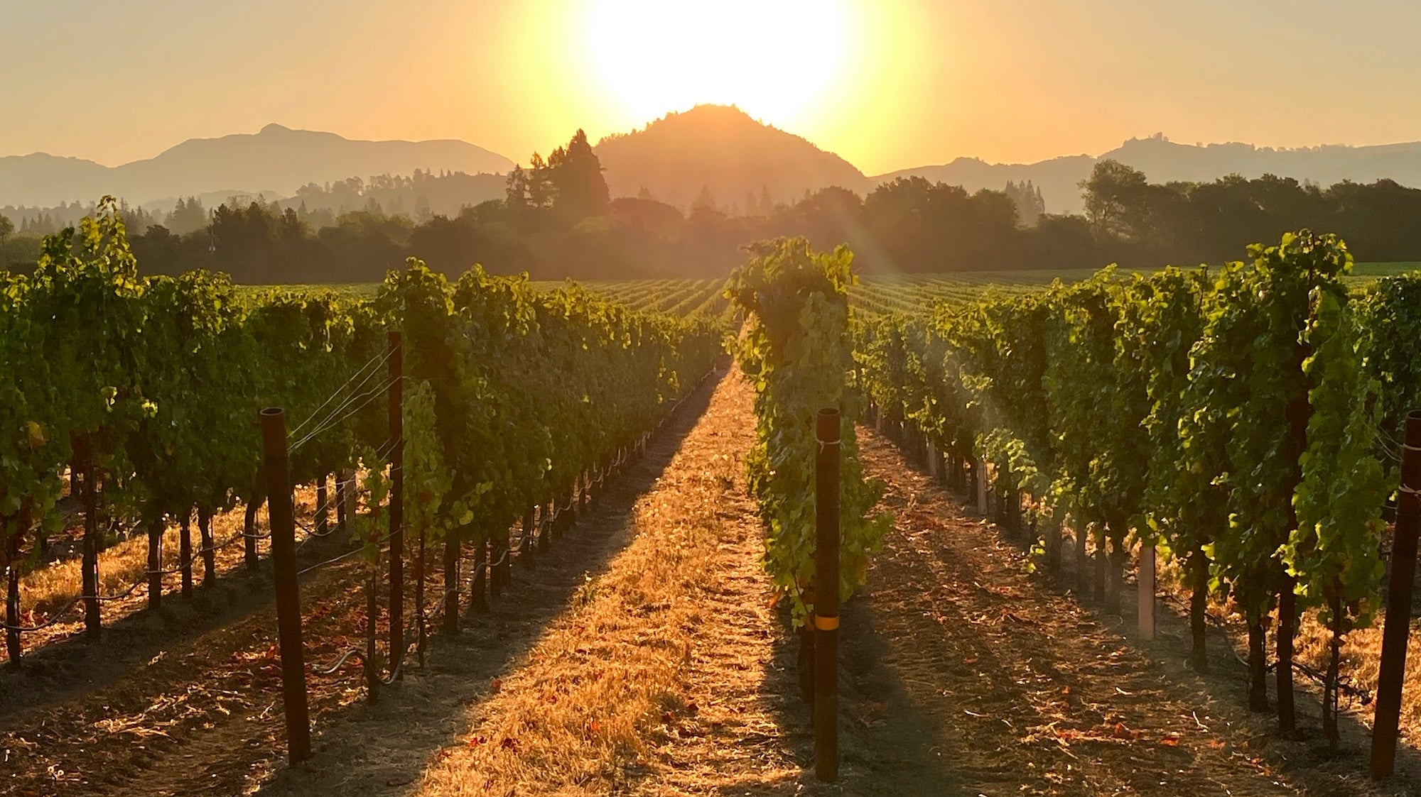 Cool-Weather Escapes