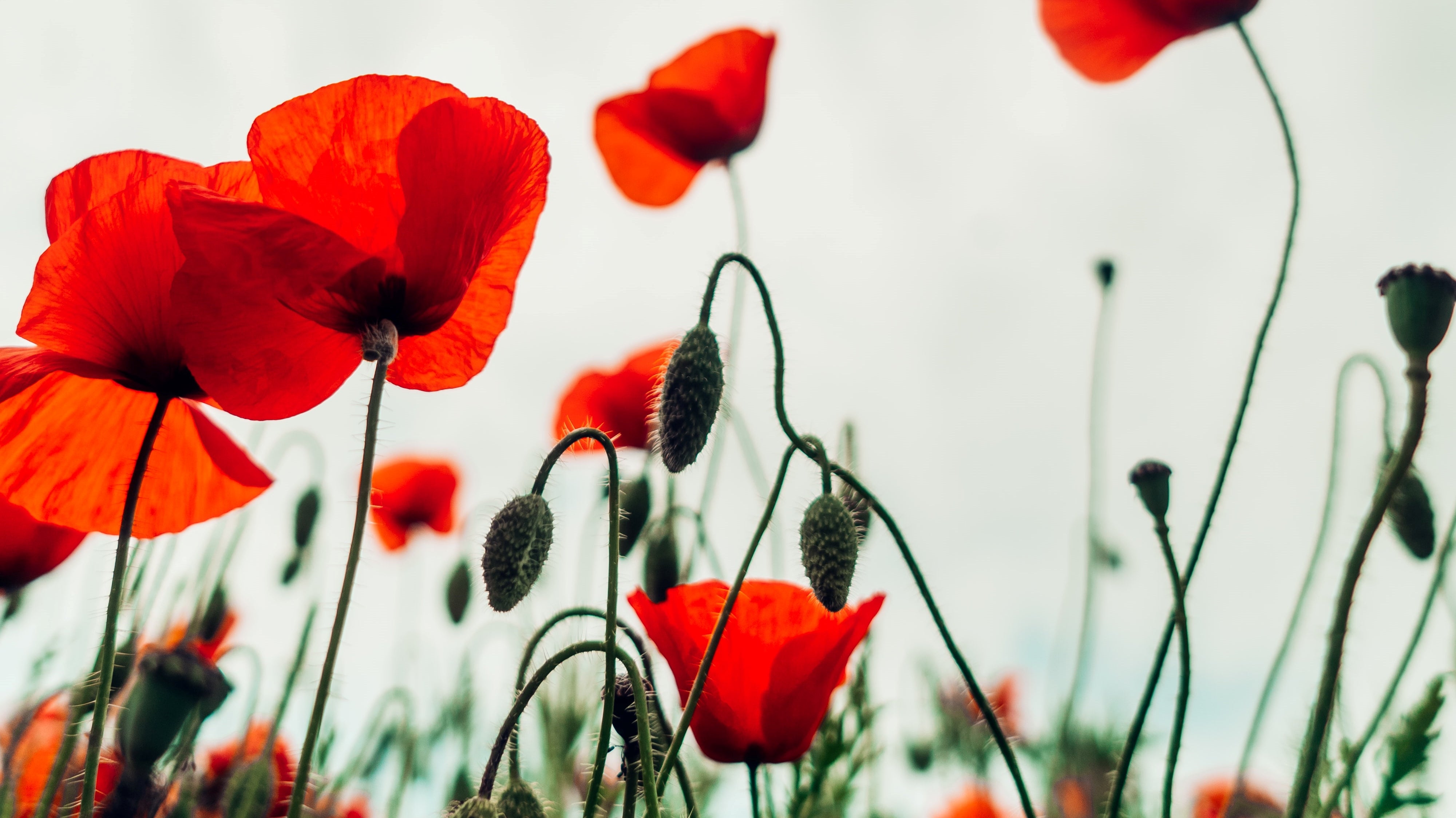 The Inspiration Behind The Spring Collection