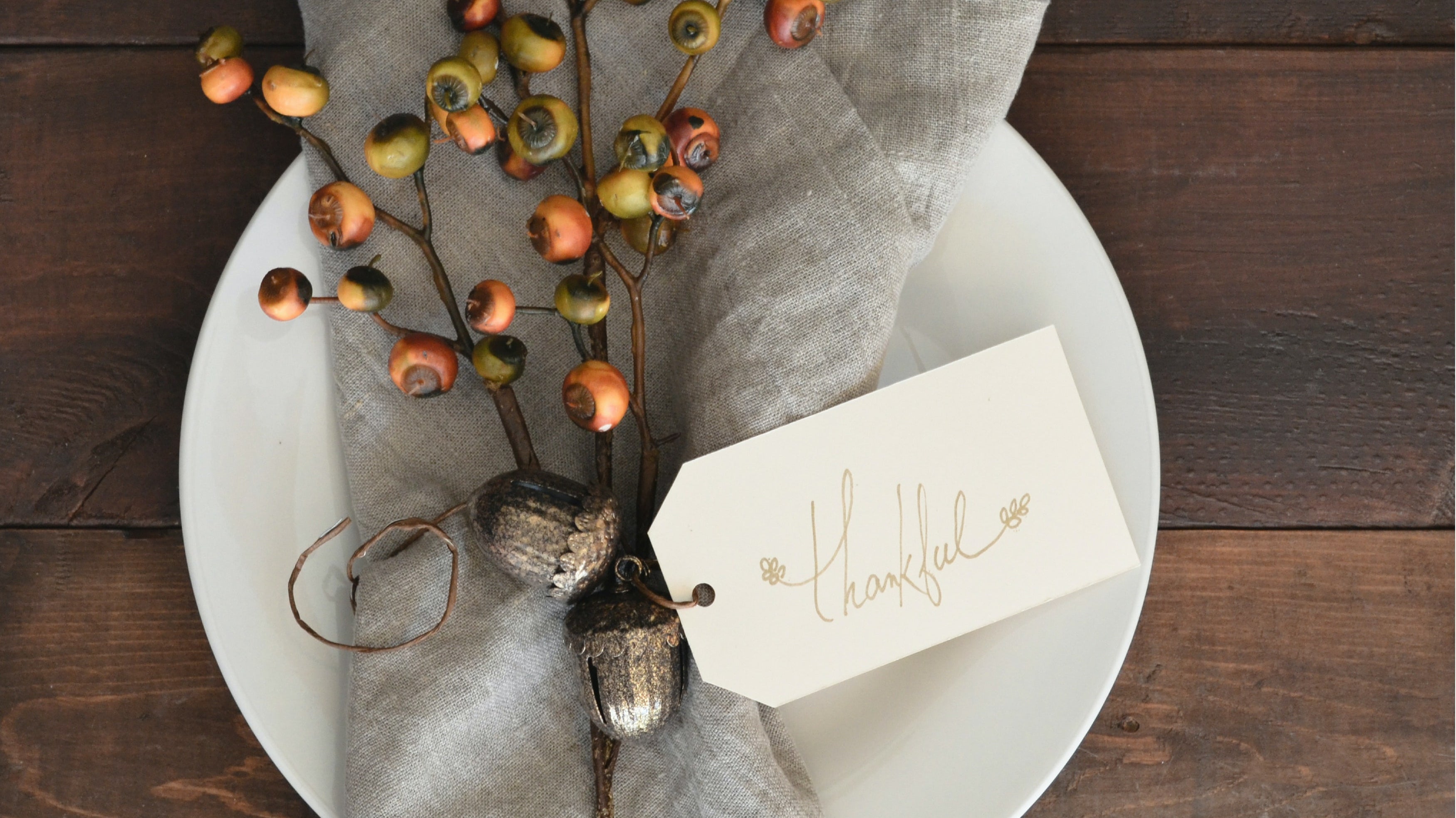 Favorite Fall Recipes from the zestt organics Team