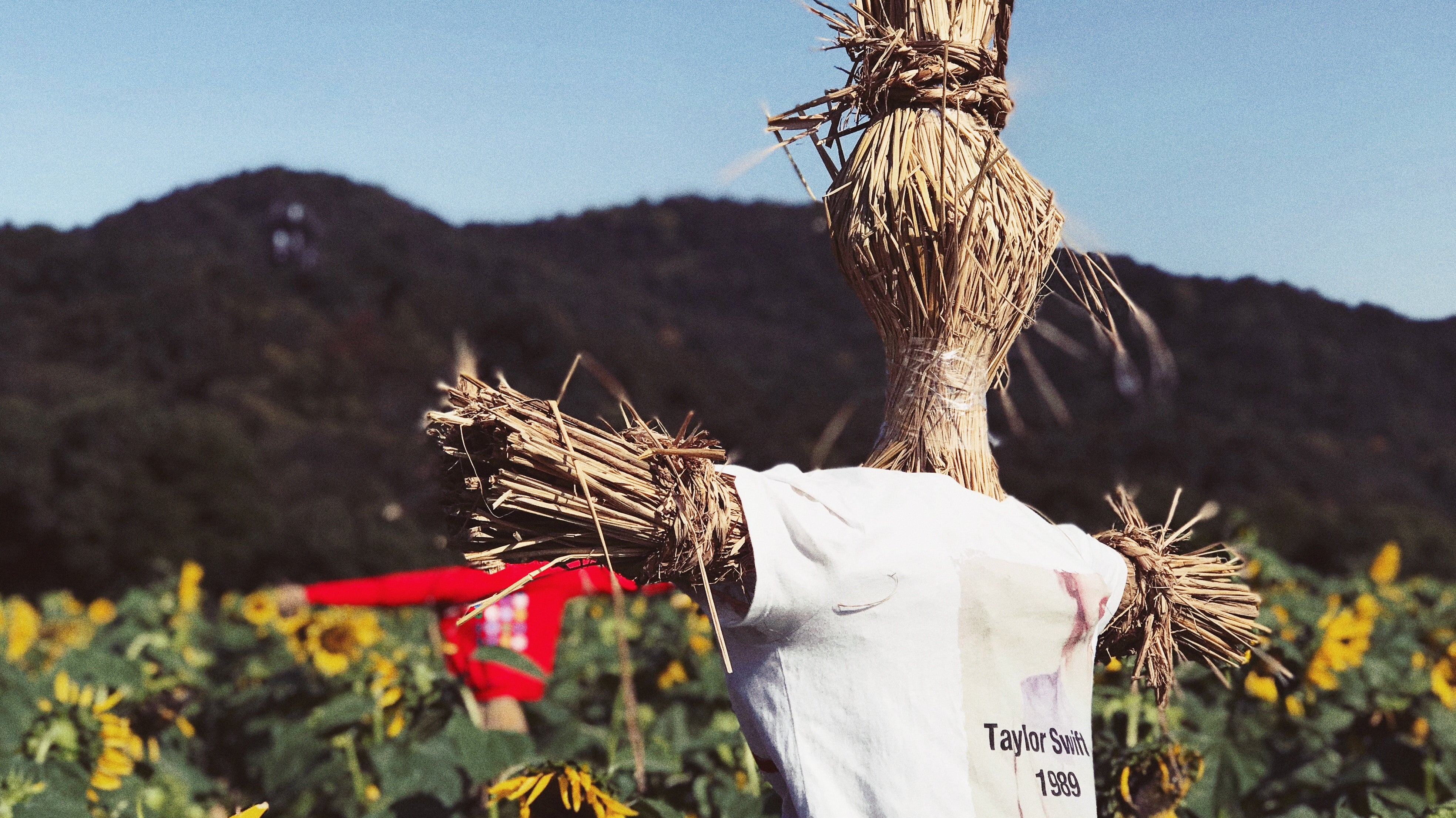 Embrace the Magic of Autumn: Exploring Fall Festivals and Events