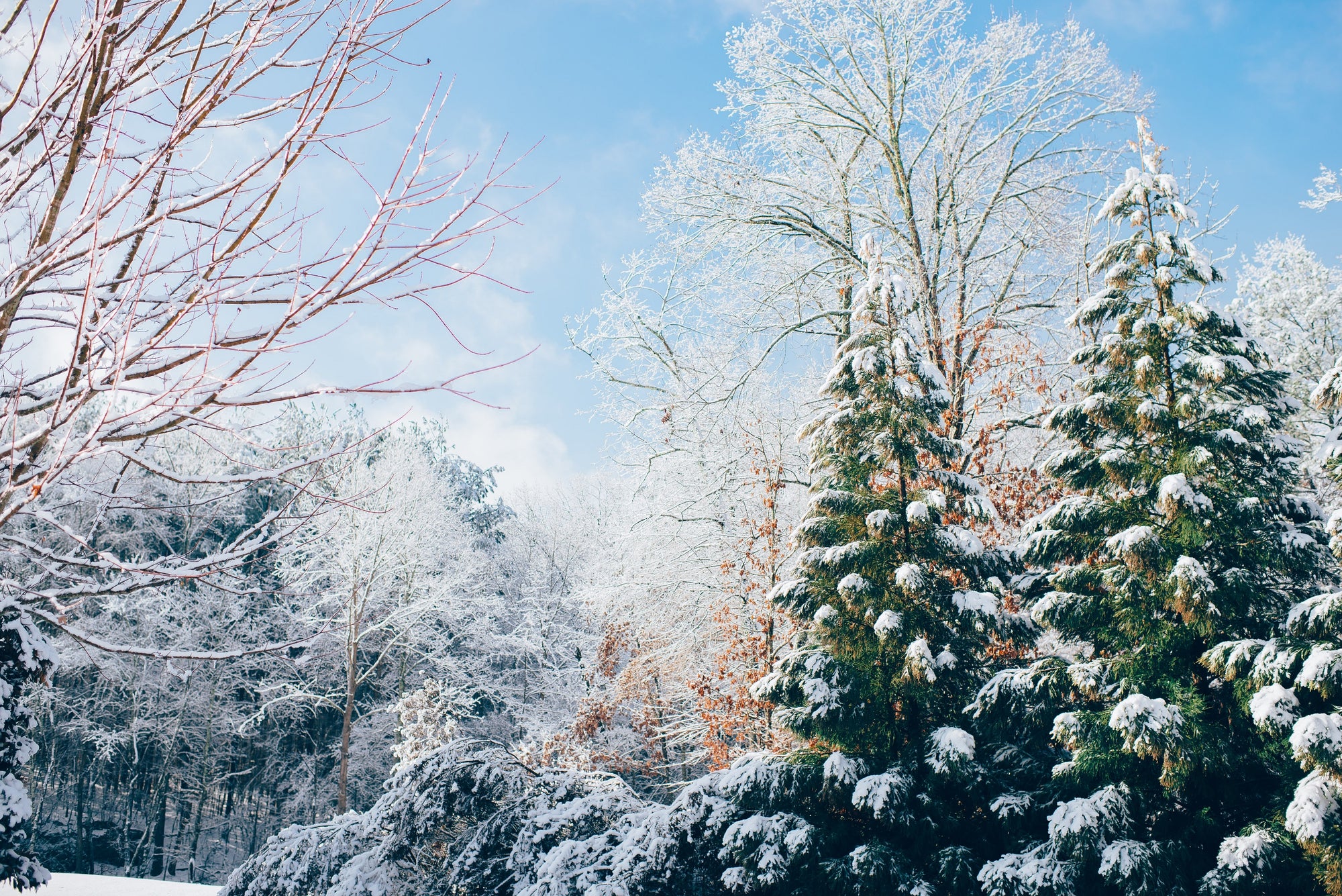 Our Top 5 Sustainable Winter Activities