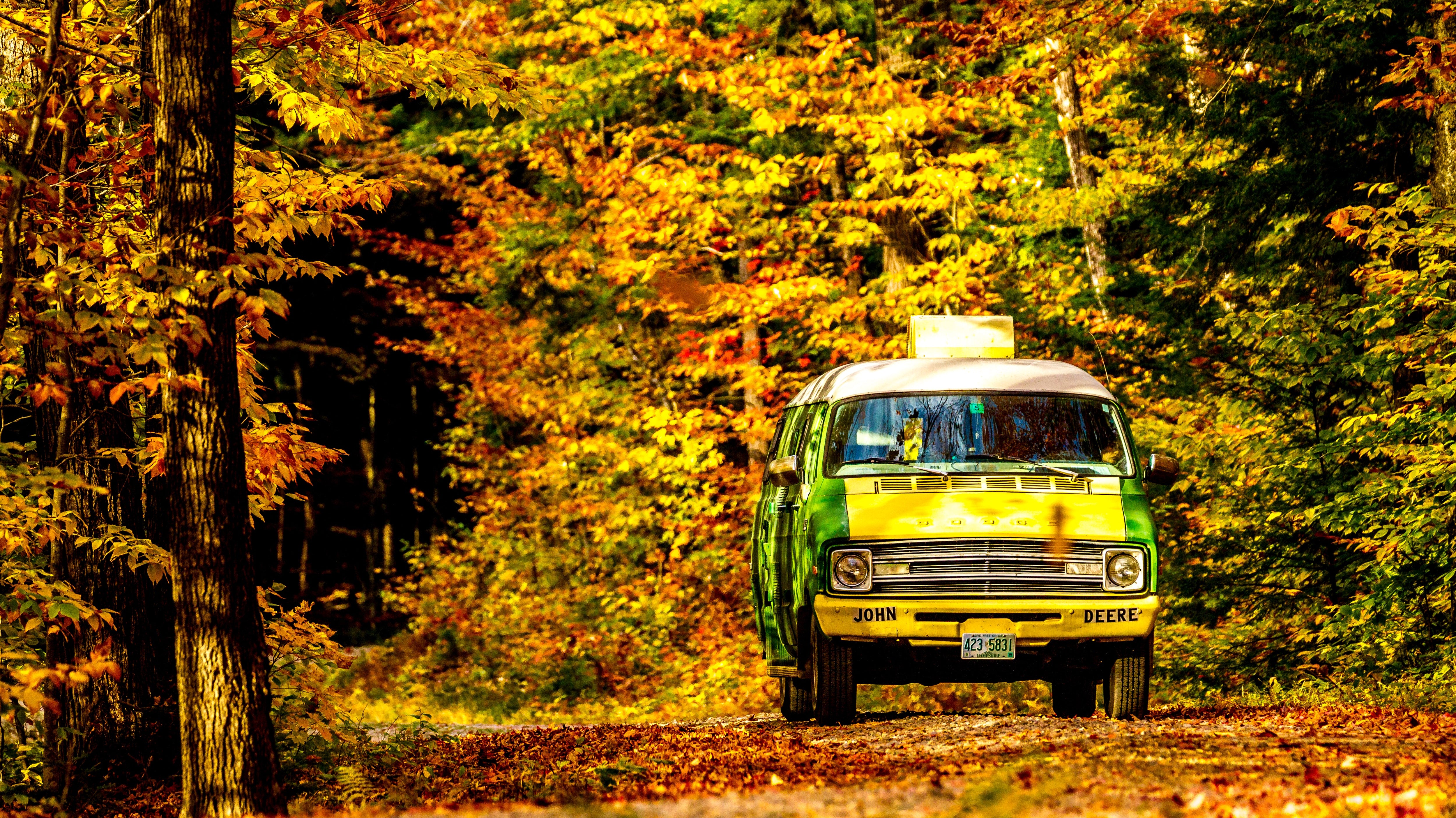 A Colorful Journey: Itineraries and Tips for Planning the Perfect Autumn Road Trip