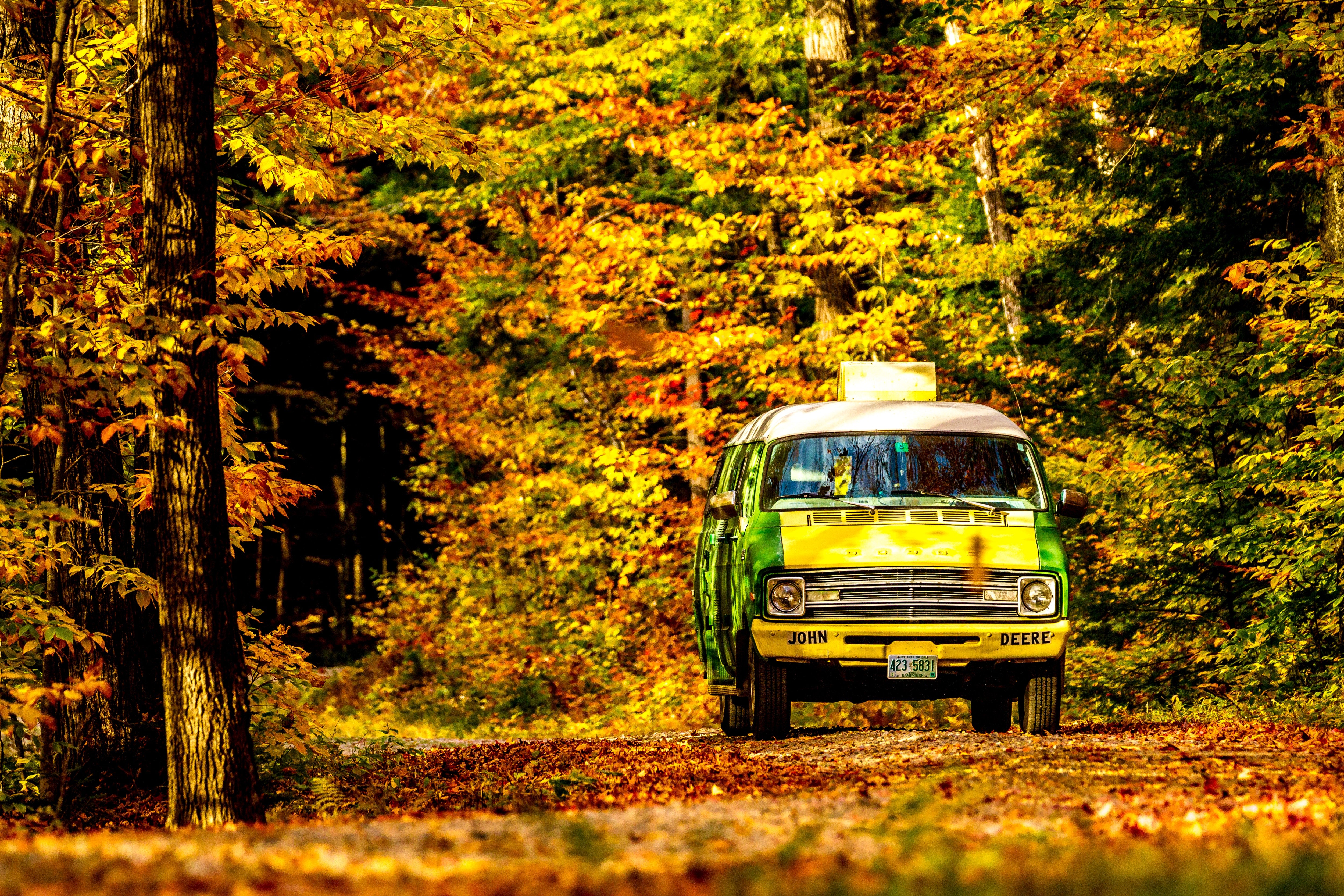 A Colorful Journey: Itineraries and Tips for Planning the Perfect Autumn Road Trip