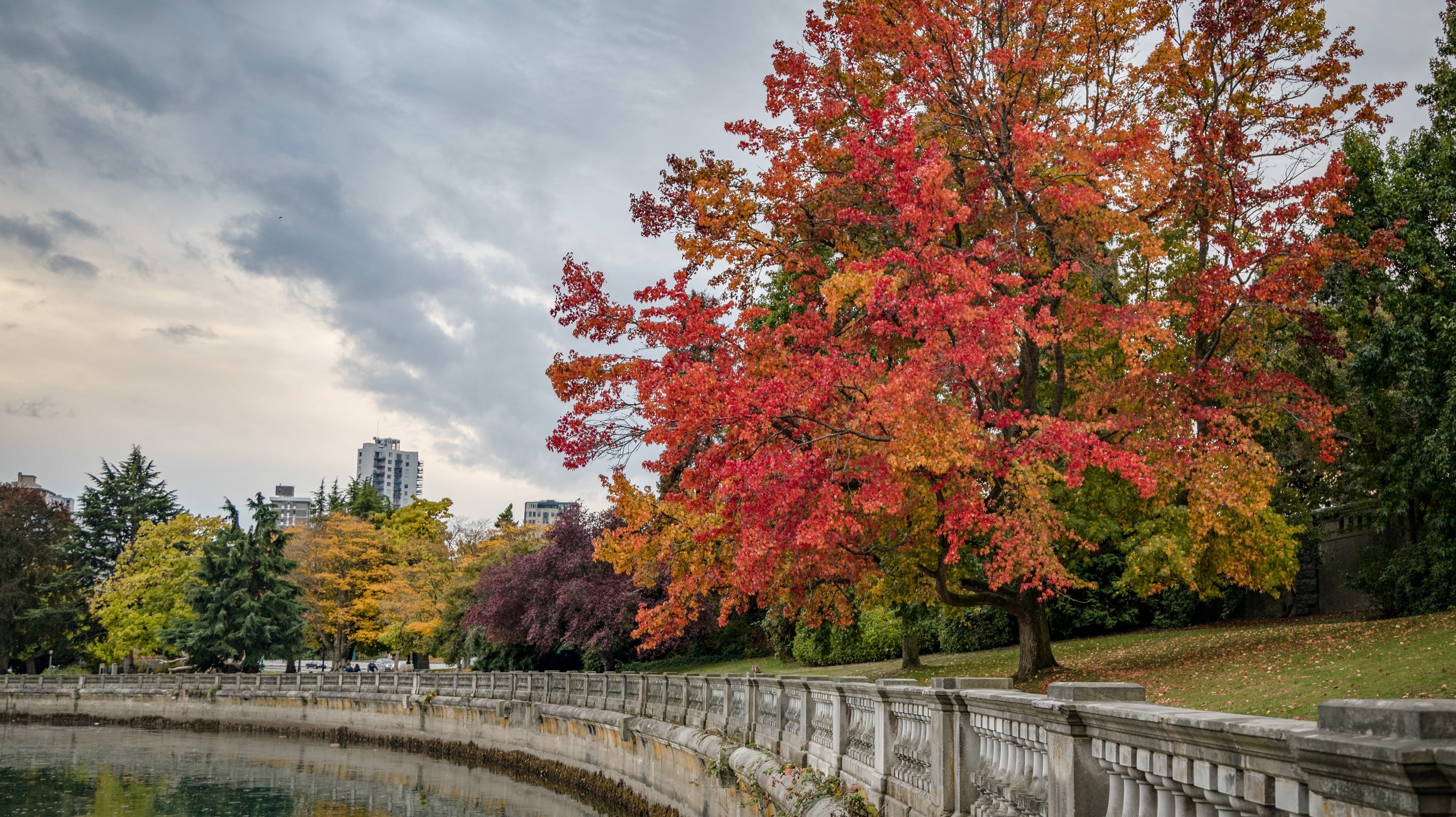 Top 5 International Fall Destinations for Eco-Conscious Travelers