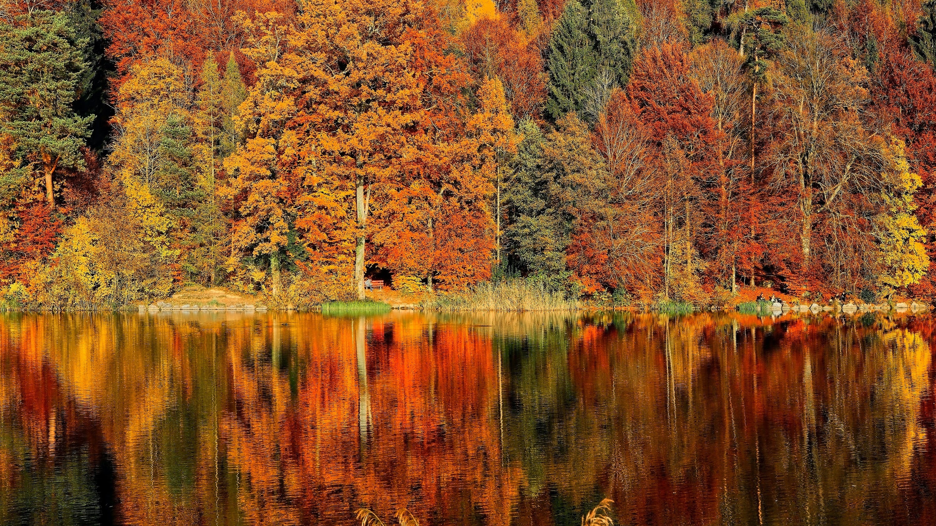 Top 5 Places in the USA to View Fall Foliage
