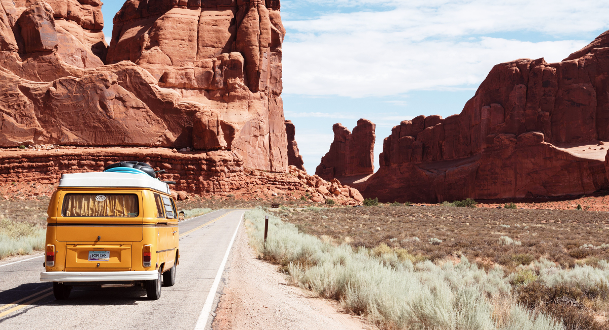 Ethical Wildlife Tourism