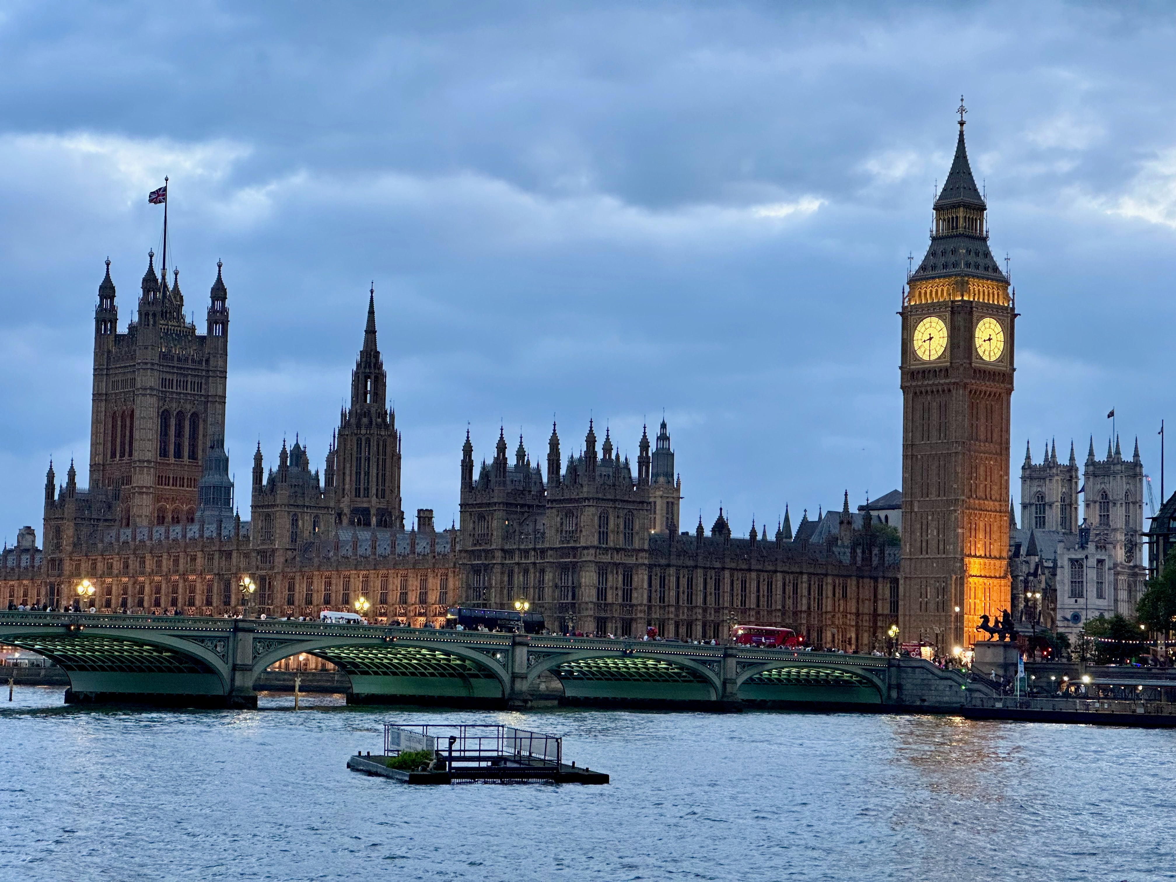 The zestt organics Team Reflects on A Year In Travel