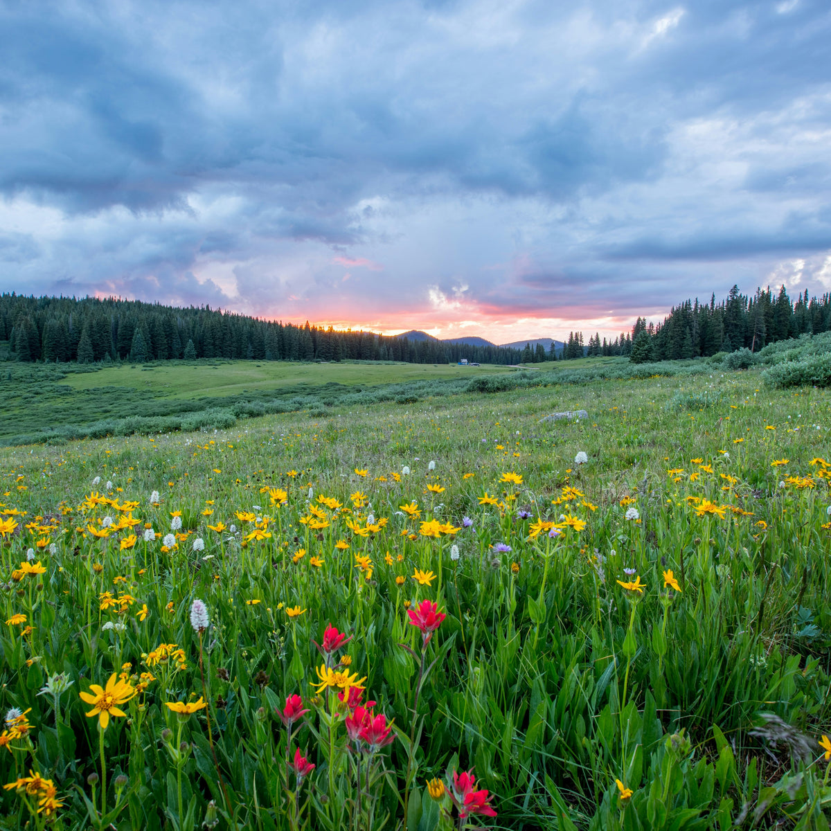 Spring Experiences Discover 5 Unique Spring Experiences β zestt llc