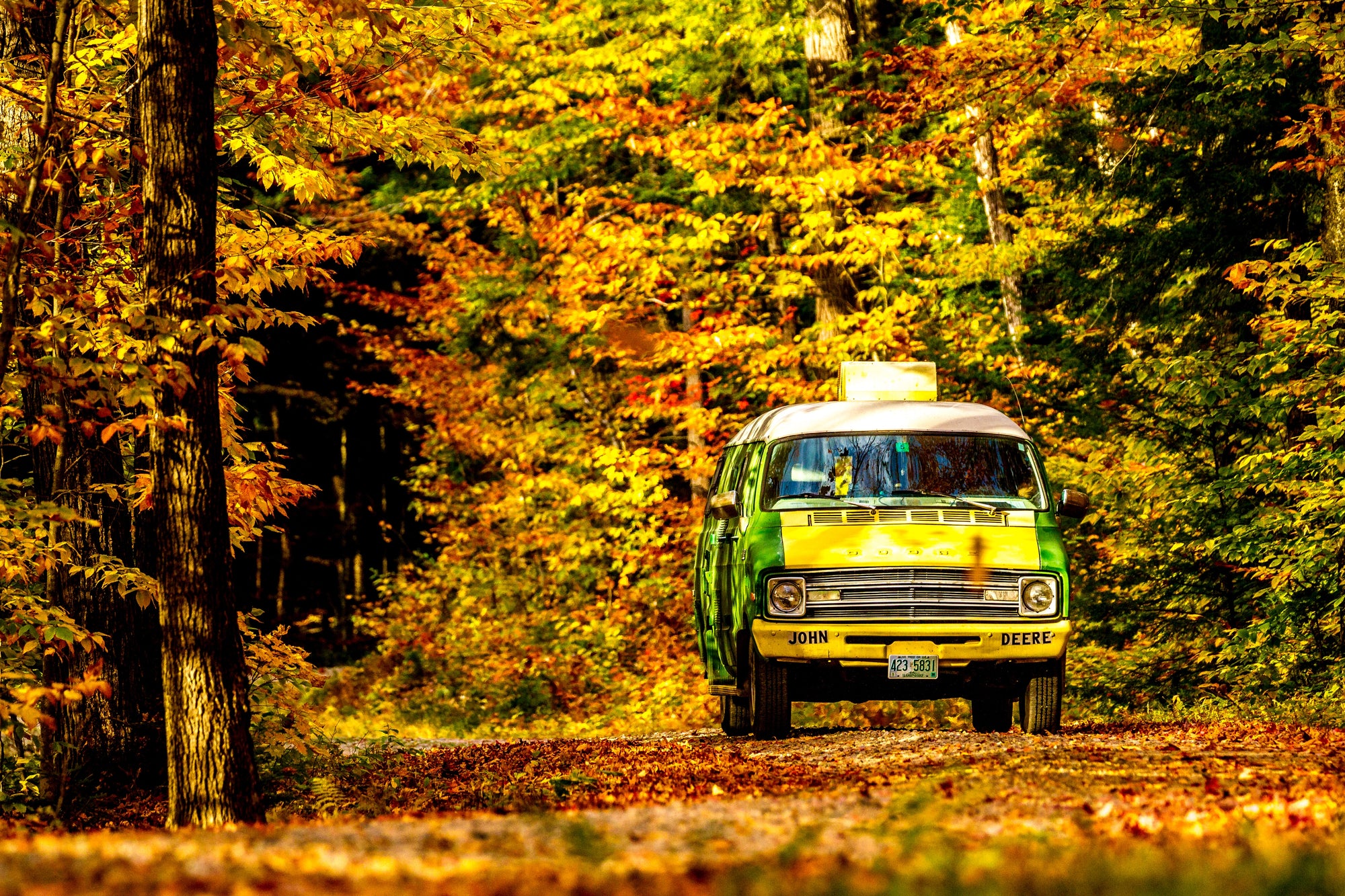A Colorful Journey: Itineraries and Tips for Planning the Perfect Autumn Road Trip