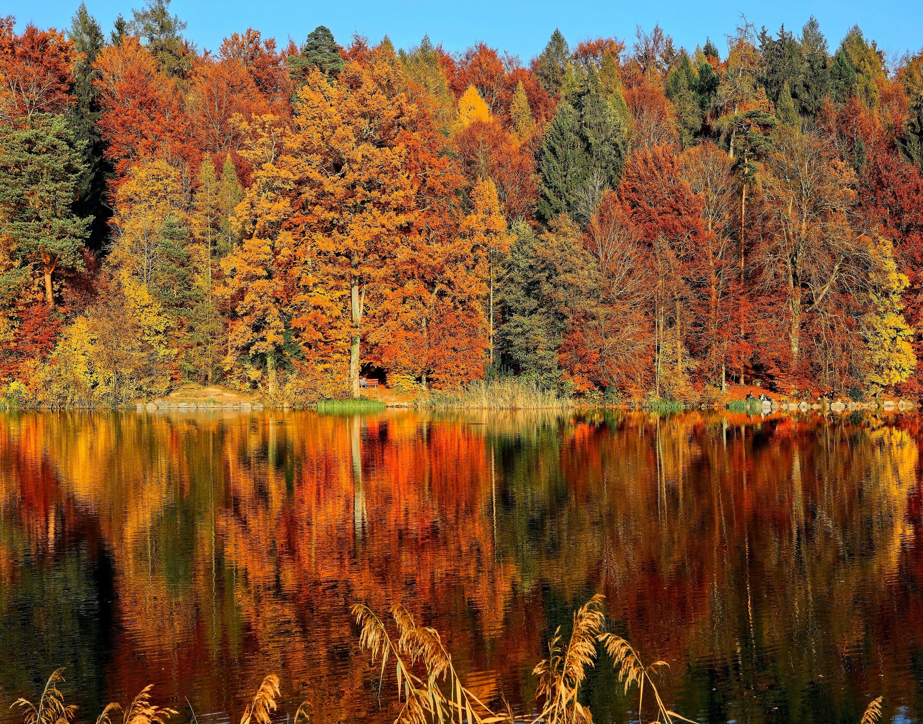 Top 5 Places in the USA to View Fall Foliage